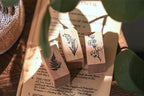 Everything Is Ordinary & You’re Special Stamp Set
