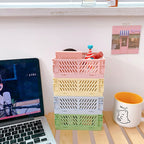 Foldable Storage Boxes