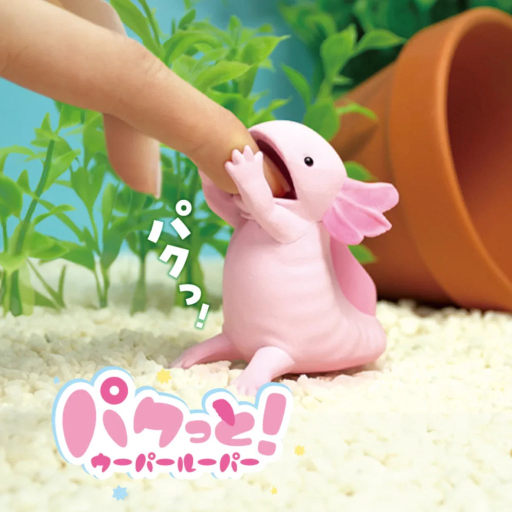 Gacha - Crunching Axolotl
