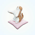 Gacha - The Carrying Cat