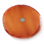 Food Sample Magnet - Crackers Shoyu Round