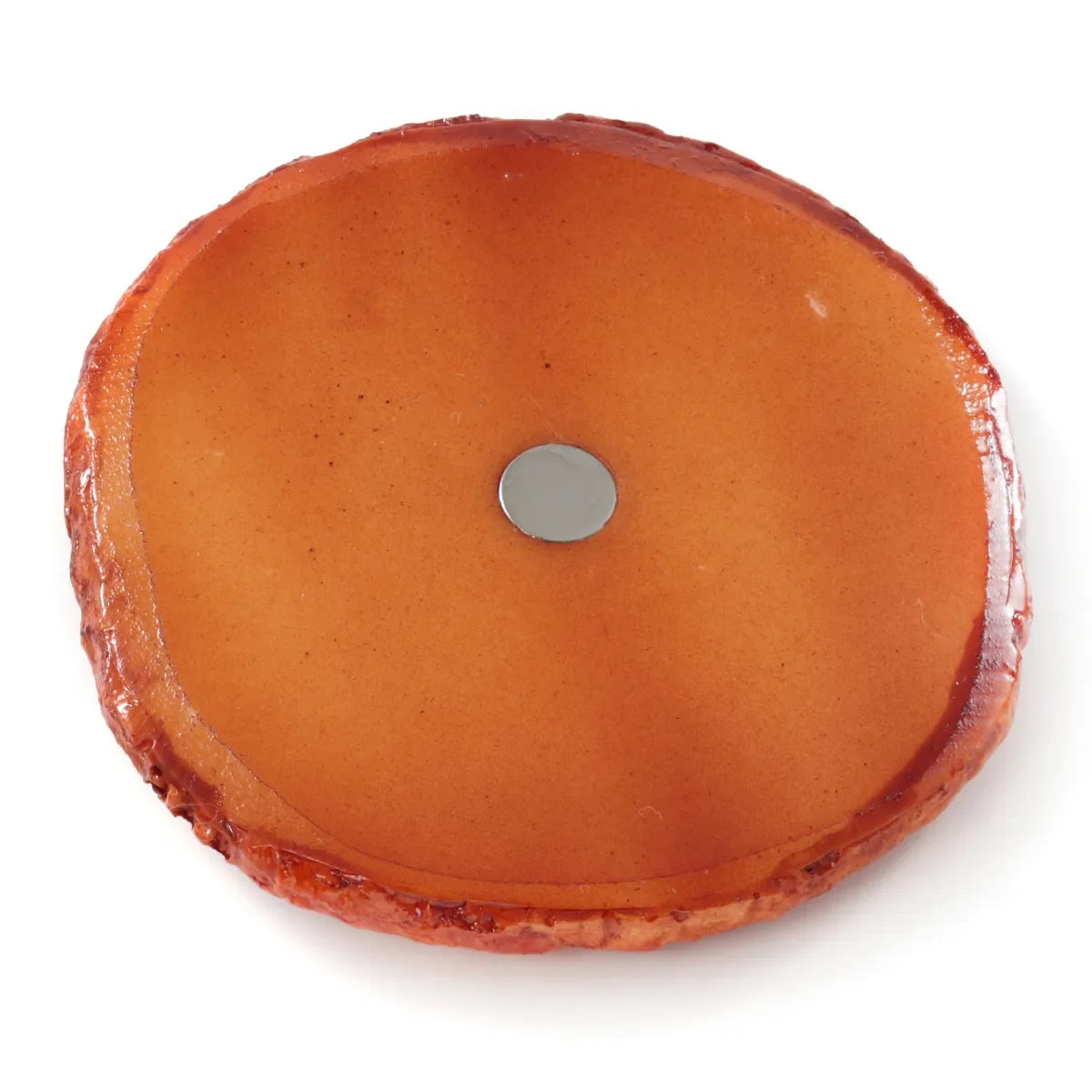 Food Sample Magnet - Crackers Shoyu Round
