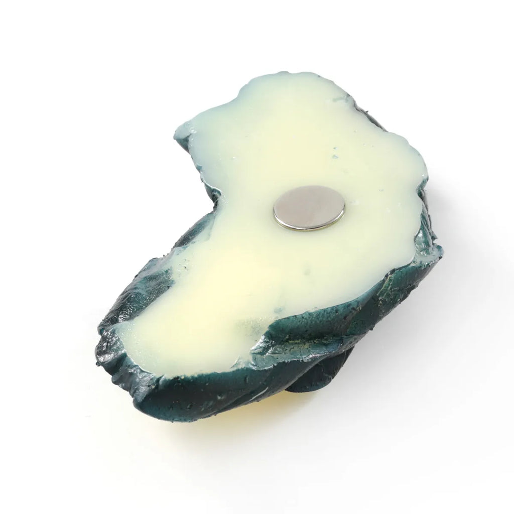 Food Sample Magnet - Cut Pickled Eggplant