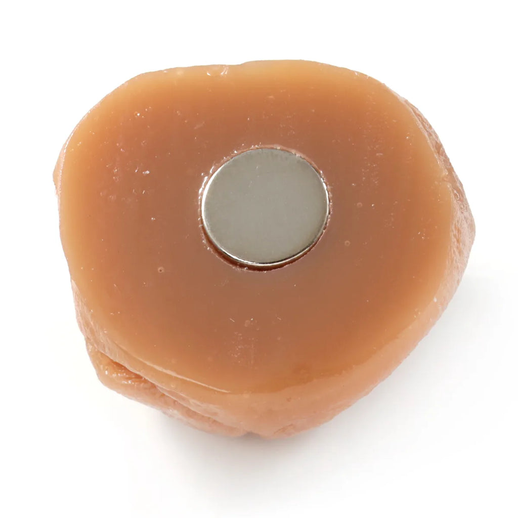 Food Sample Magnet - Dried Plum White
