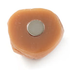 Food Sample Magnet - Dried Plum White