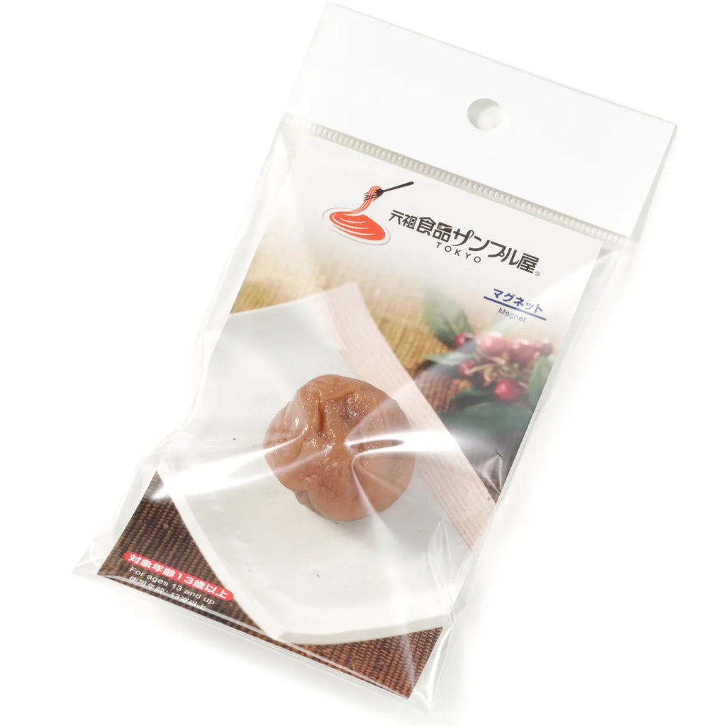 Food Sample Magnet - Dried Plum White