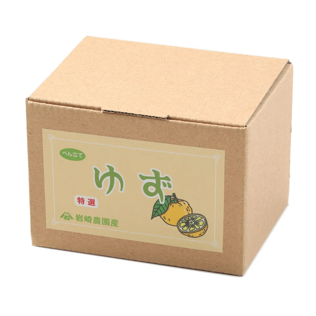 Food Sample Pen Stand - Yuzu