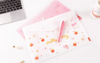 Hello Kitty A4 File Pocket - Limited Edition