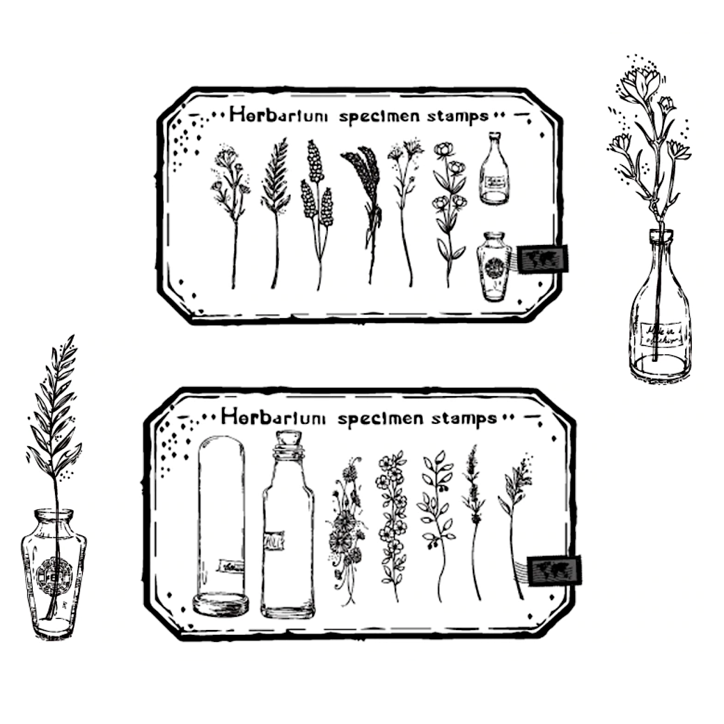 Herbarium Specimen Stamps
