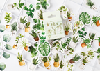 House Plant Paper Stickers