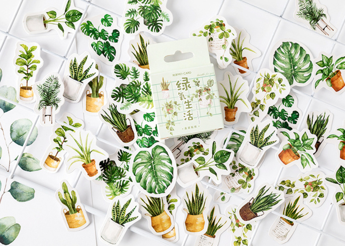 House Plant Paper Stickers