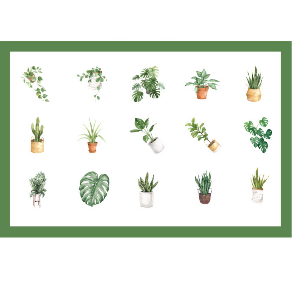 House Plant Paper Stickers