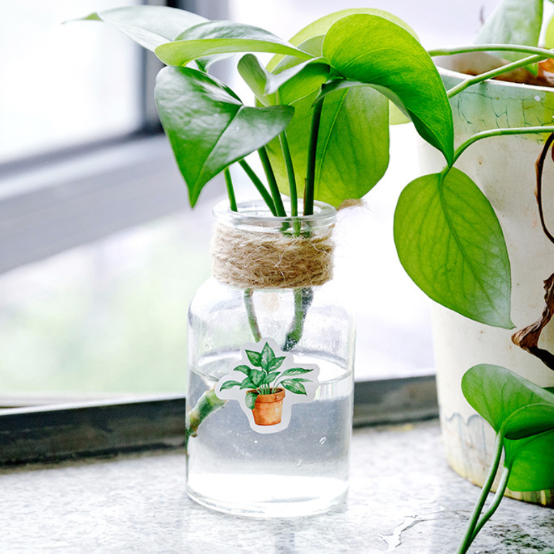 House Plant Paper Stickers