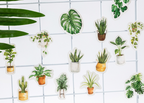 House Plant Paper Stickers