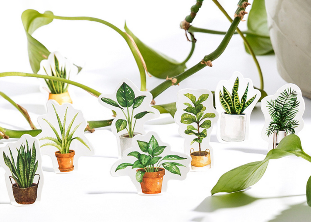 House Plant Paper Stickers