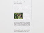 Appree Nature Stickers