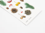 Appree Nature Stickers