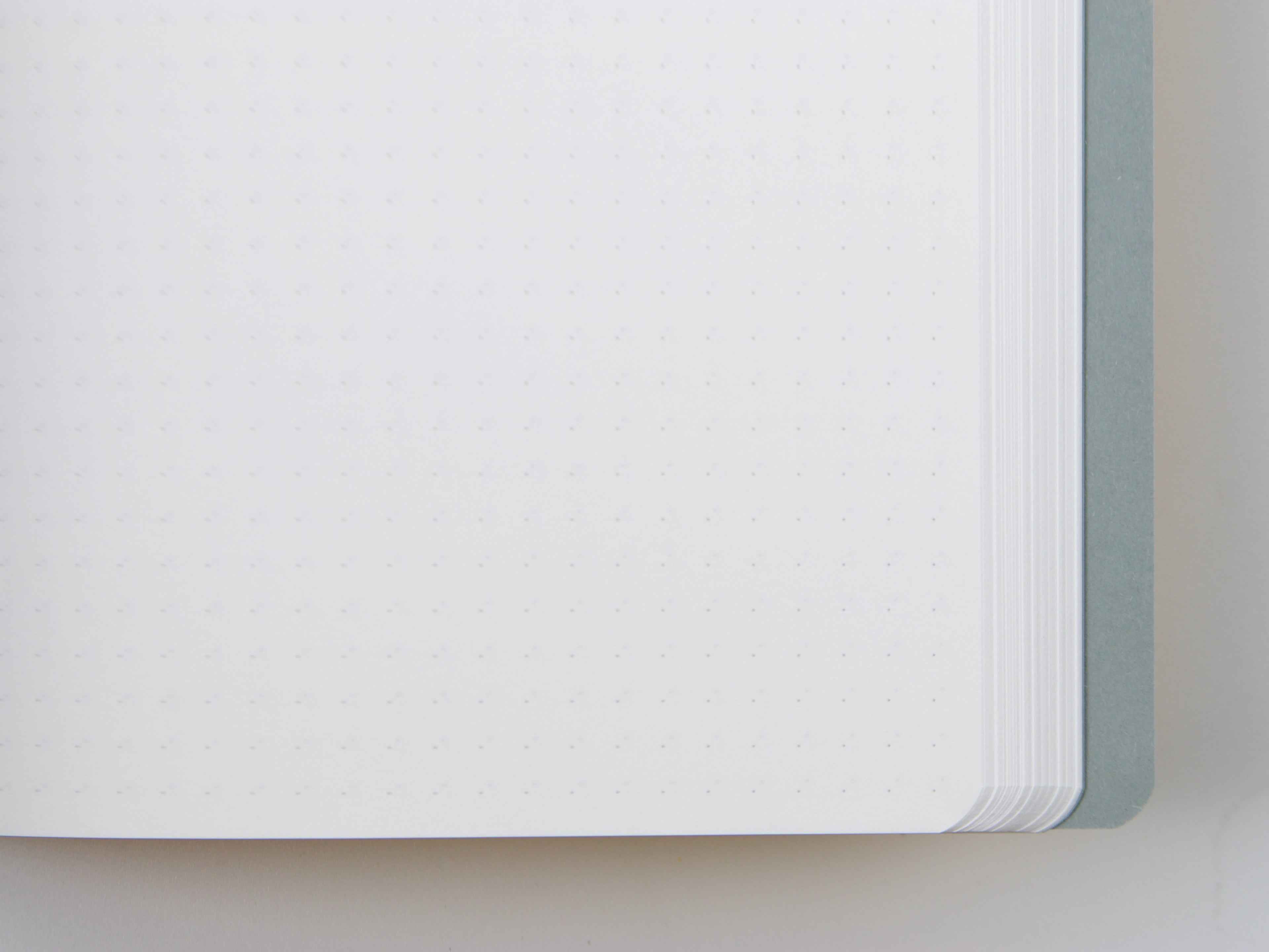 Stalogy A5 365 Days Notebook