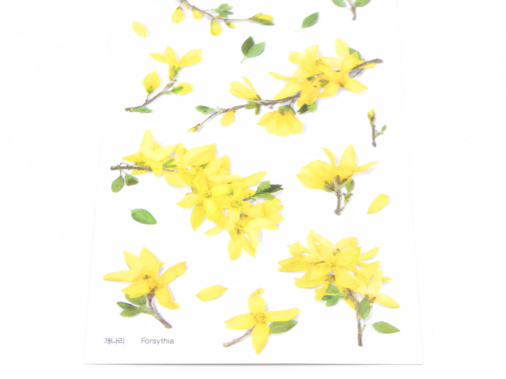 Appree Pressed Flower Stickers