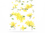 Appree Pressed Flower Stickers
