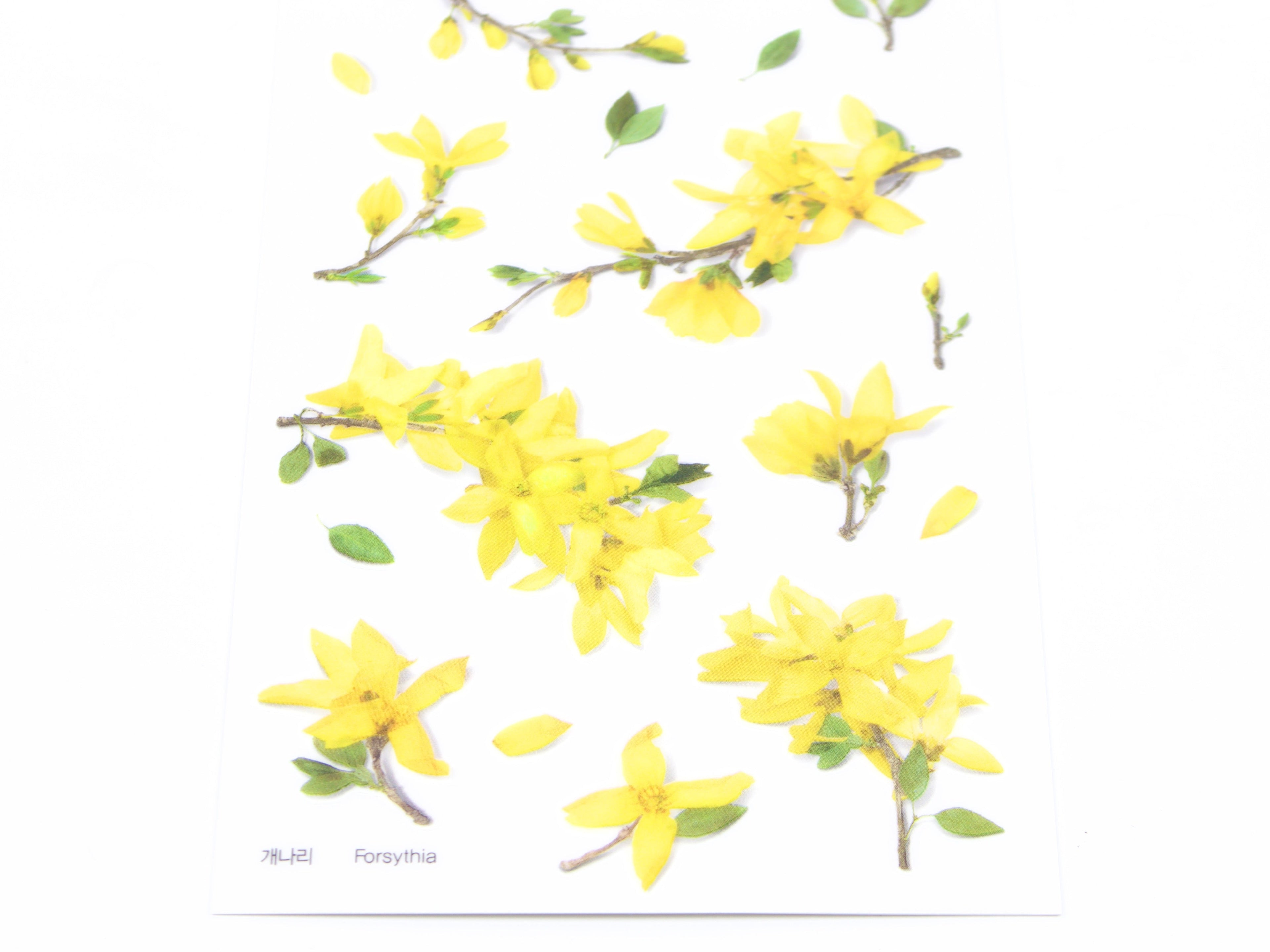 Appree Pressed Flower Stickers