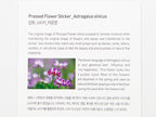 Appree Pressed Flower Stickers