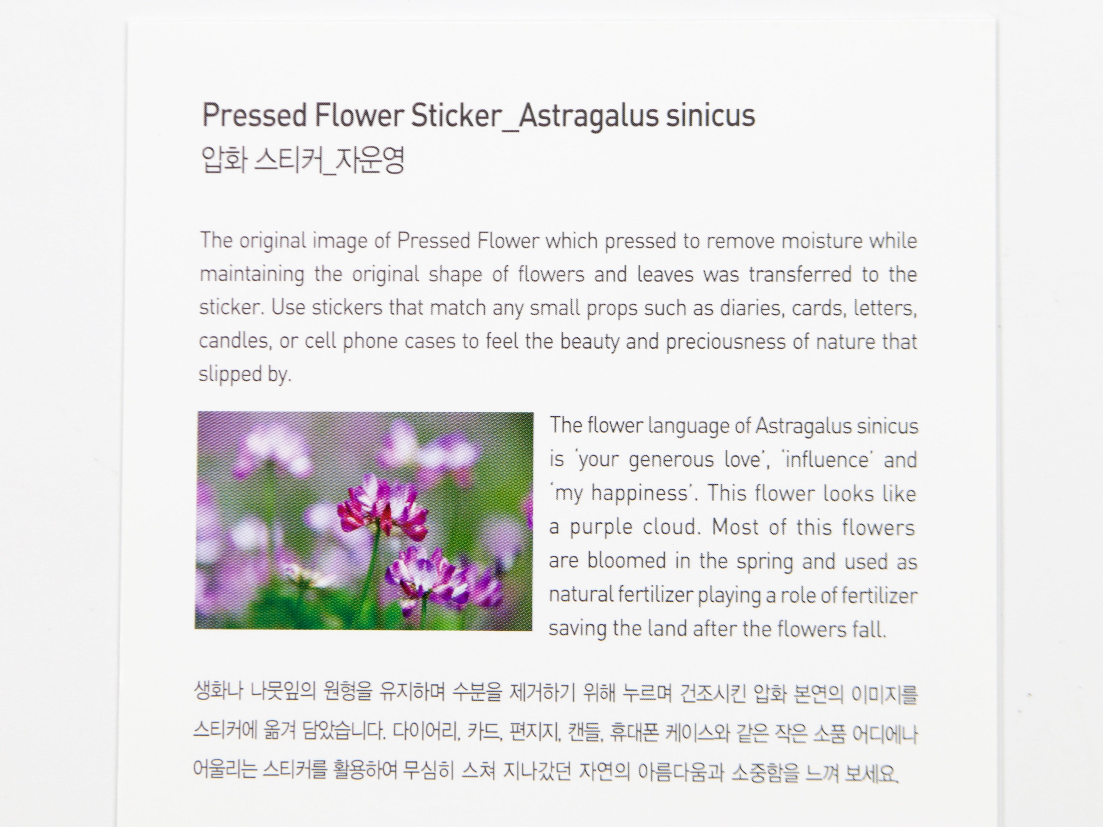 Appree Pressed Flower Stickers