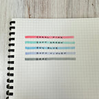 Erasable Frixion Light Sheer Stone Singles