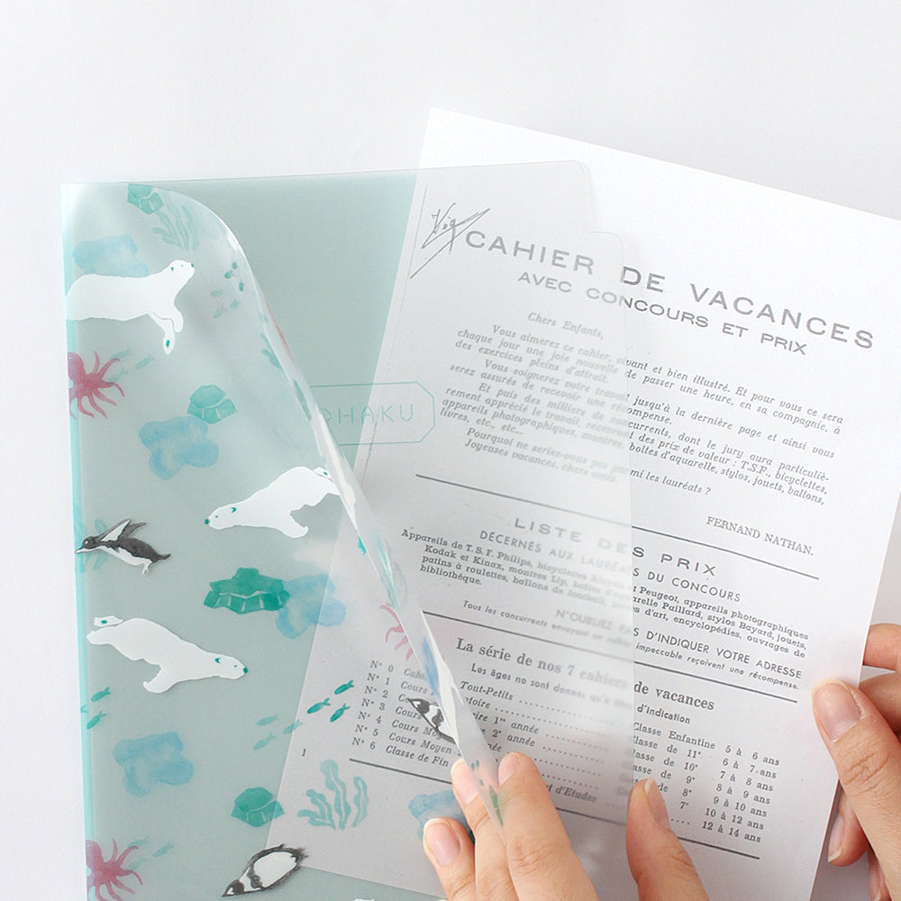 Kohaku A5 Clear Folder - 3 Pockets - Polar Animals