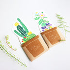 Koniwa Message Card - Succulents