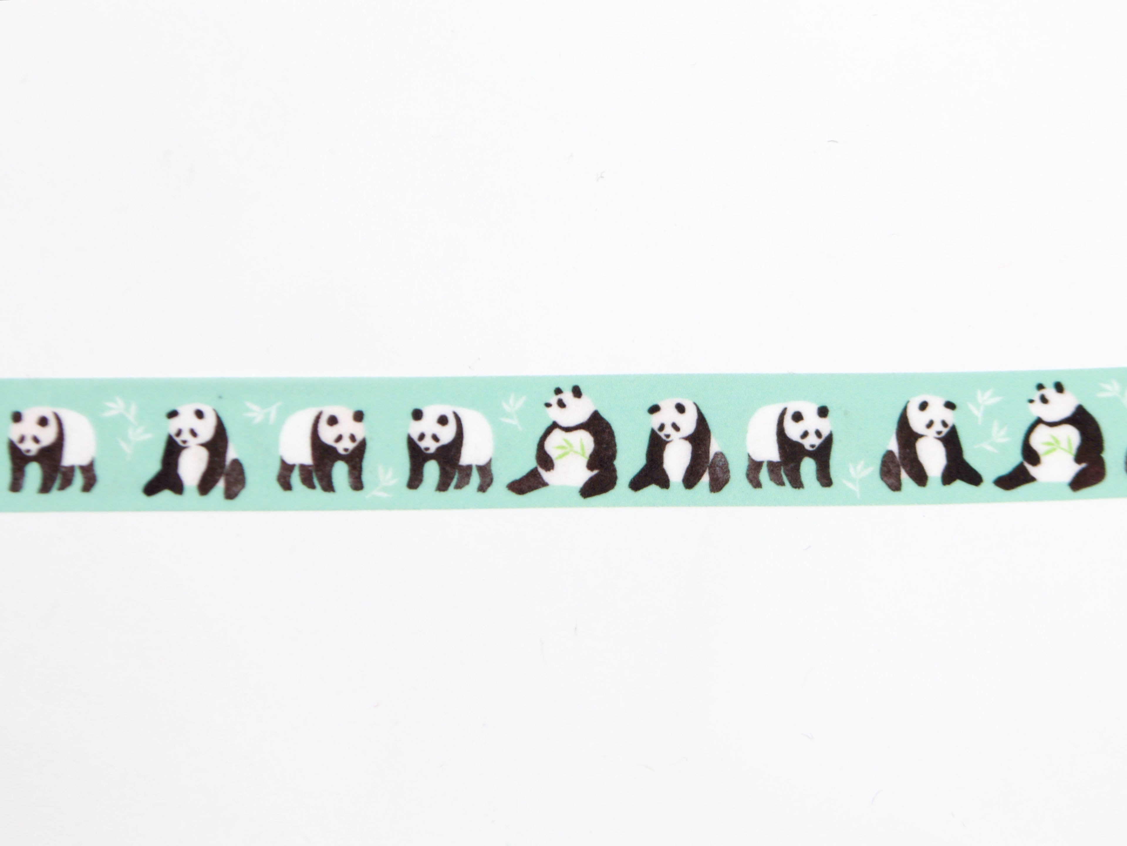 mt x Maruichikyuu Panda