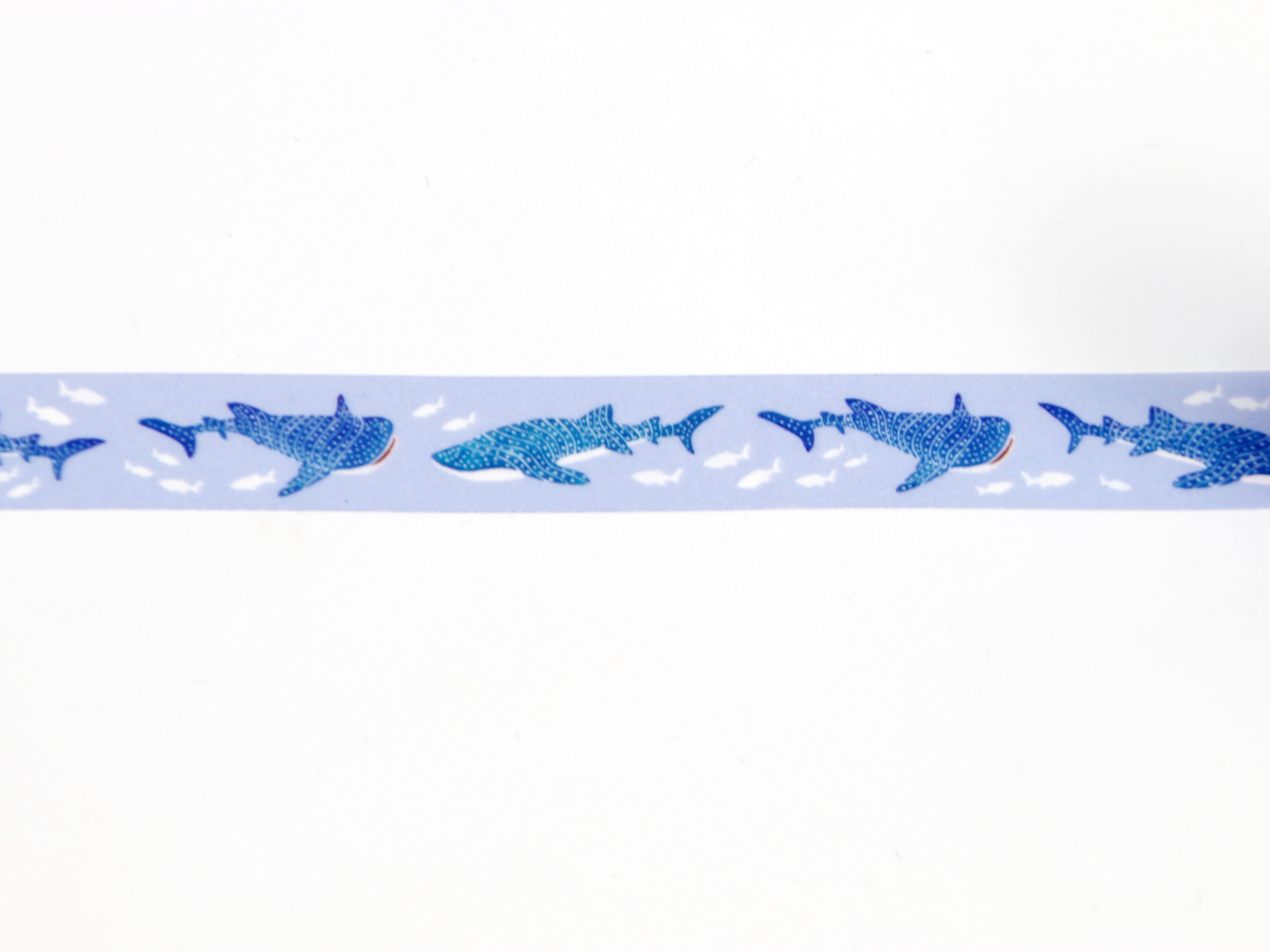 mt x Maruichikyuu Whale Shark