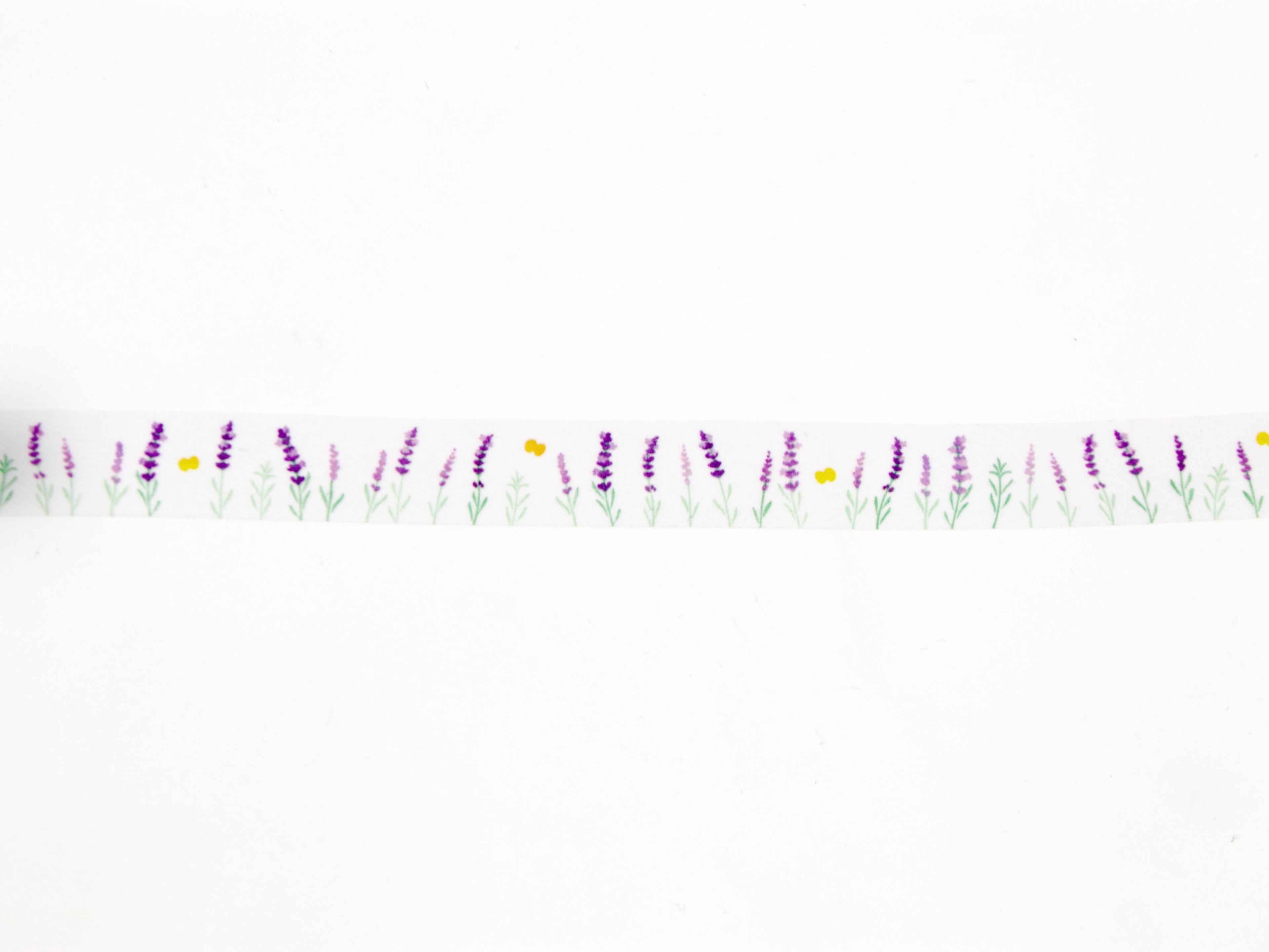 mt x Maruichikyuu Lavender