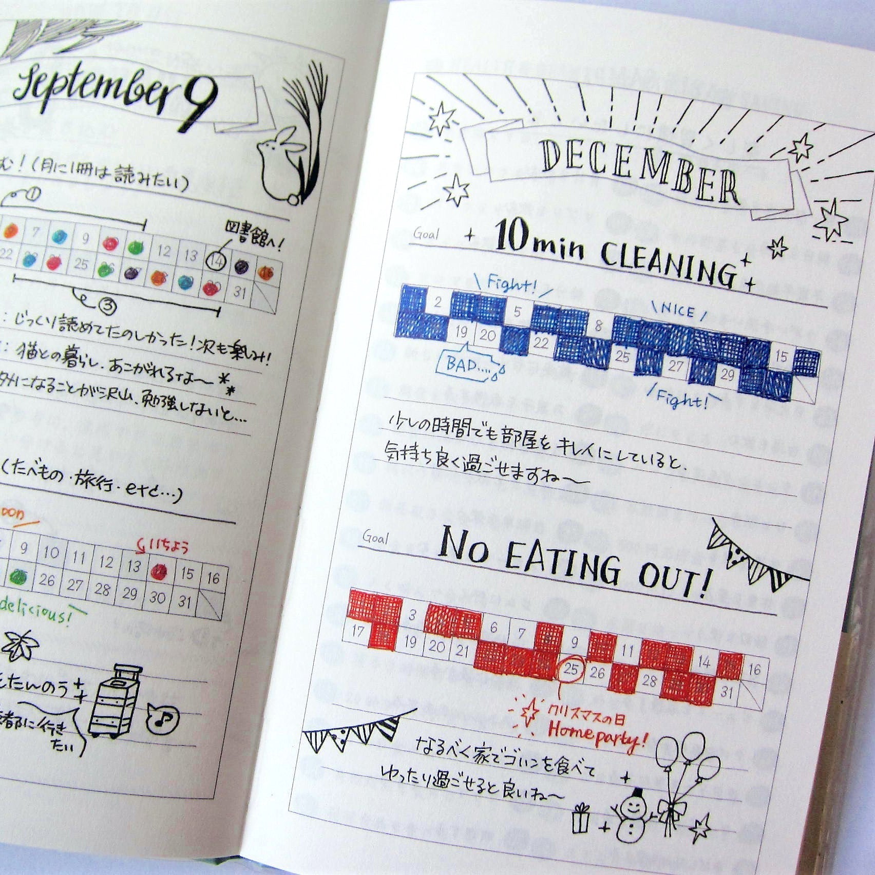 Midori Diary Habit Tracker - Pink
