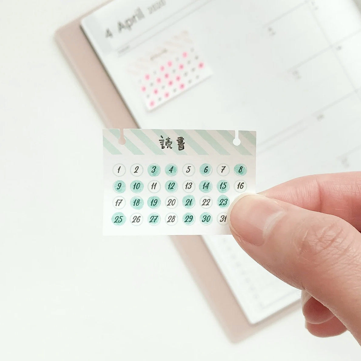 Midori Habit Tracker Sticky Notes - Striped