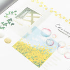 Mind Wave Clear Masking Tape - Bubble