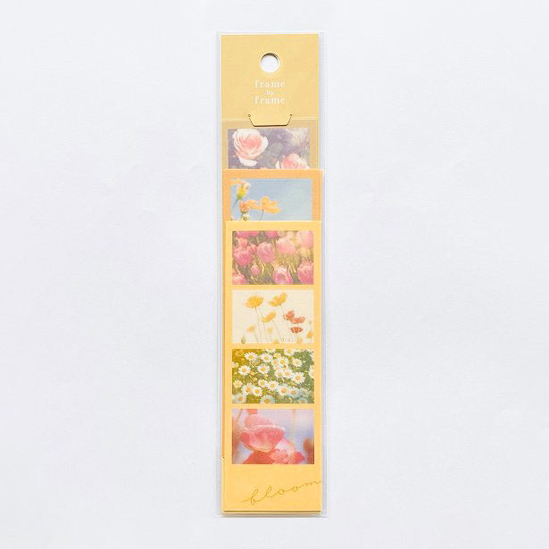 Mind Wave Frame By Frame Stickers
