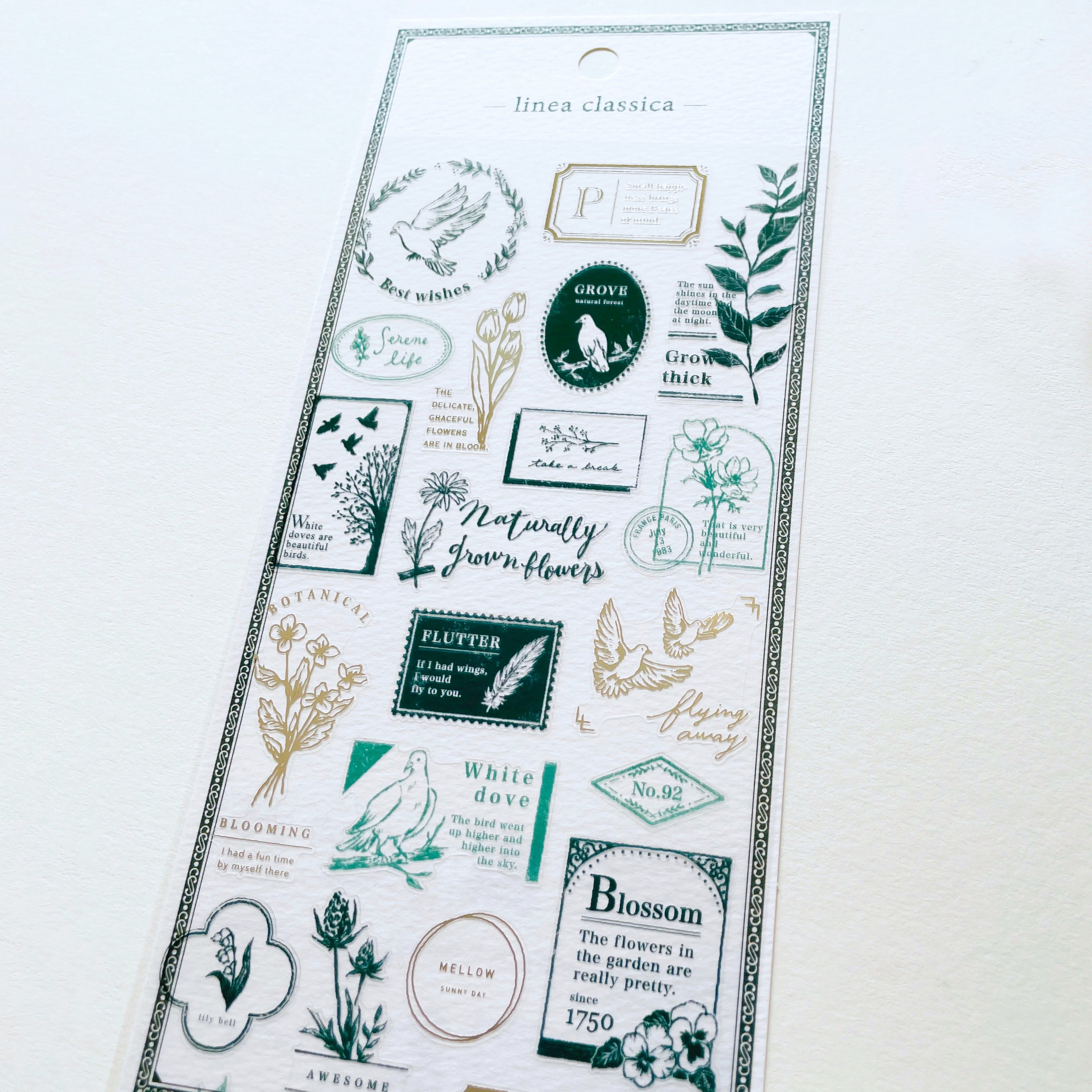 Mind Wave Linea Classica Stickers