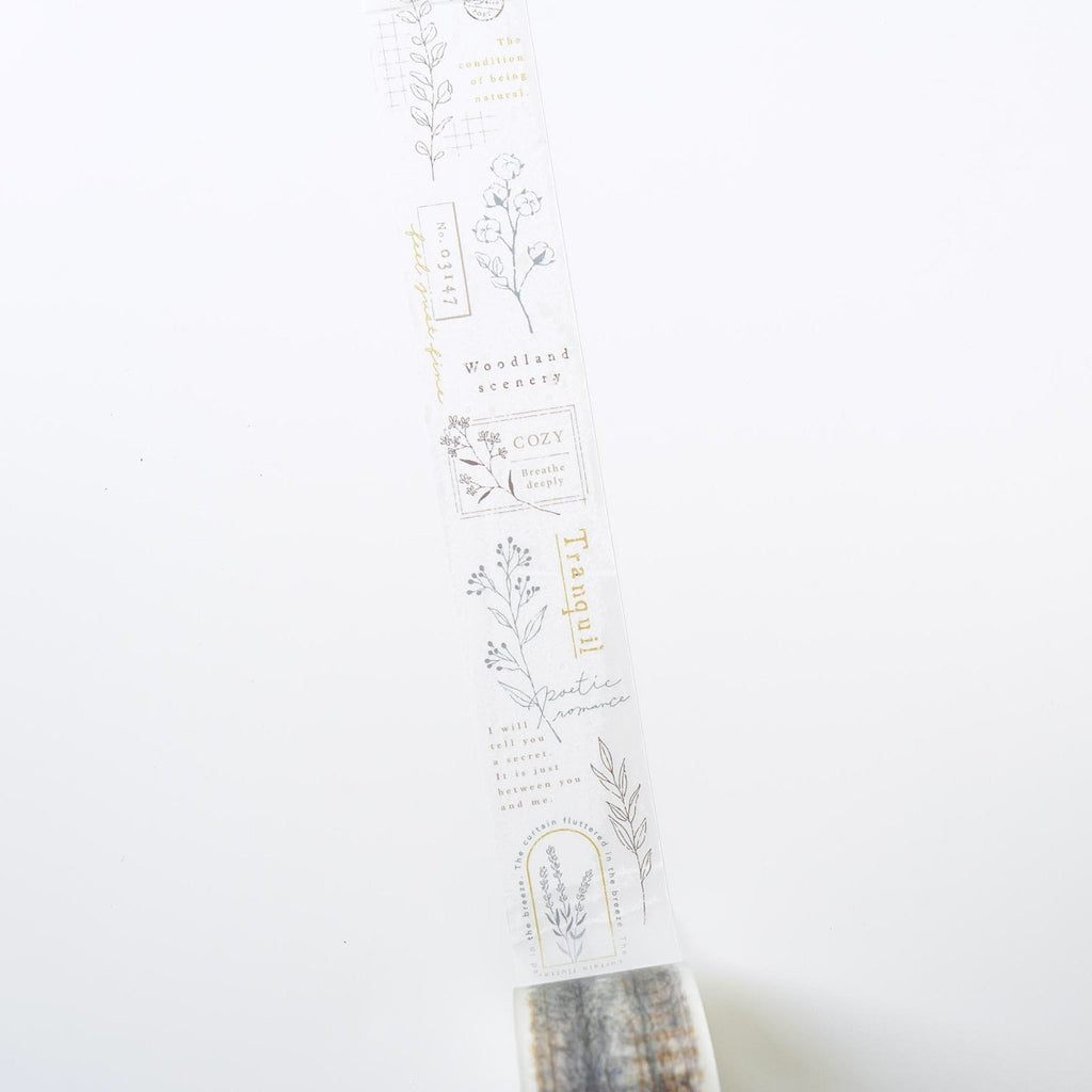 Mind Wave Vintage Clear Masking Tape - Calm Line