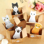Kitty In A Box Sticky Notes