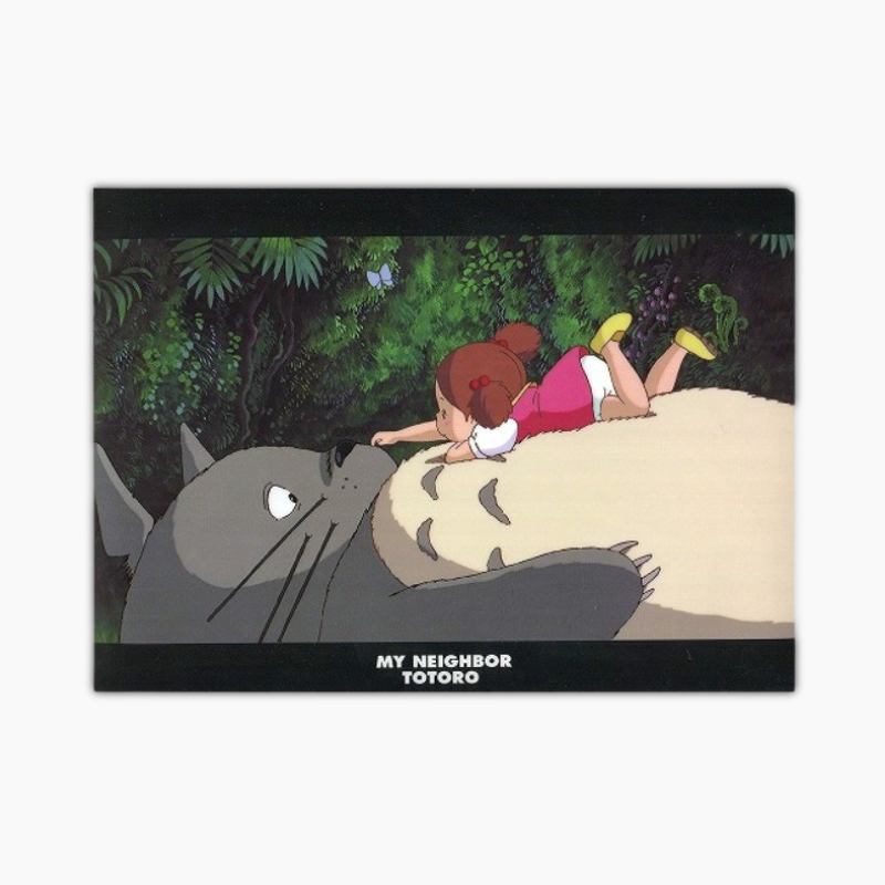My Neighbor Totoro A4 Clear Folder - Napping On Totoro's Tummy