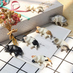 Napping Cat Magnets - Set of 6
