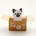 Kitty In A Box Sticky Notes