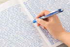 Pentel Energel Liquid Gel Ink Pen