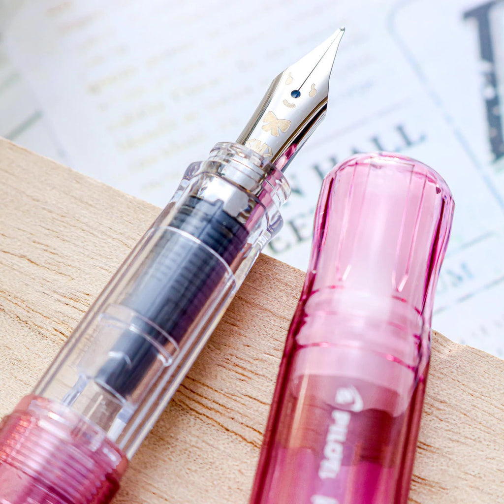 Pilot Kakuno Fountain Pen - Family Series