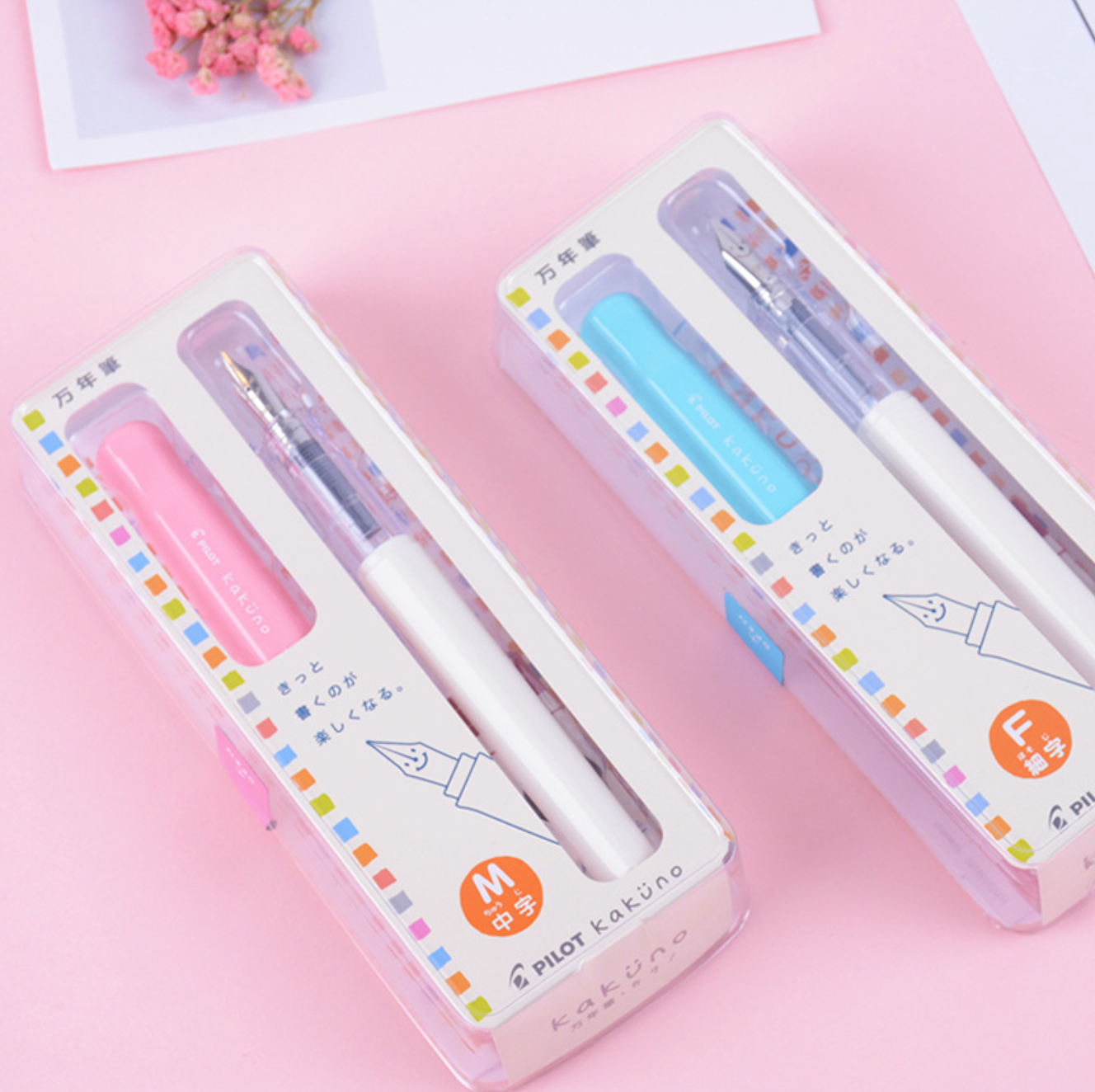 Pilot Kakuno Fountain Pen - Fine Nib