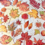 Pressed Botanical Ephemera Stickers