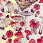 Pressed Botanical Ephemera Stickers