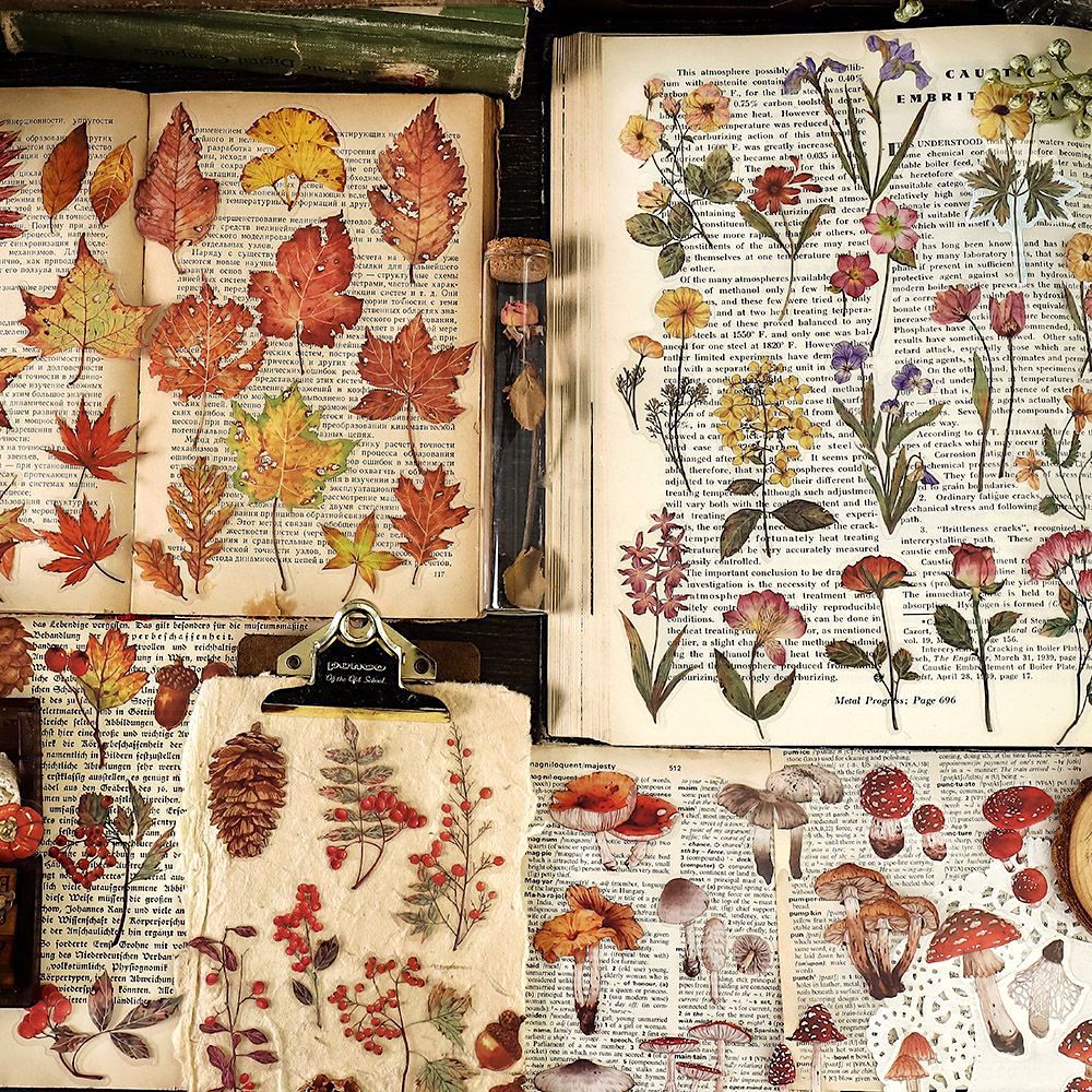 Pressed Botanical Ephemera Stickers