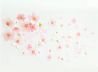Nekoni Spring Blossom Stickers